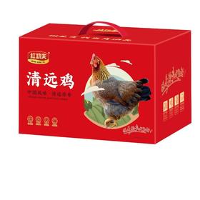 红功夫清远鸡礼盒1.1kg*4只