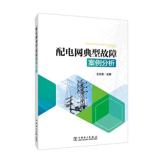 配电网典型故障案例分析 商品图0