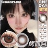SUGARPLUM 烤面包 日抛 十片 14.5mm 参考着色13.9mm 基弧8.5 含水40% 韩国进口 商品缩略图1