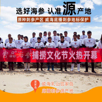 宫品有机淡干海参3A半斤250g20-35只 威海刺参干货 营养滋补礼盒 商品图2