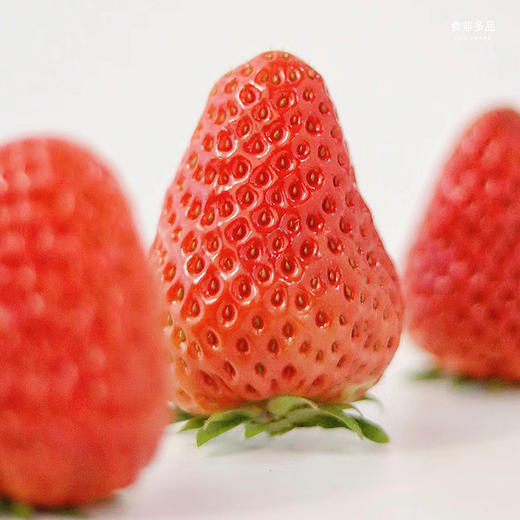【地标好物】辽宁丹东99红颜草莓  个大、色红、味甜 2斤装 商品图1