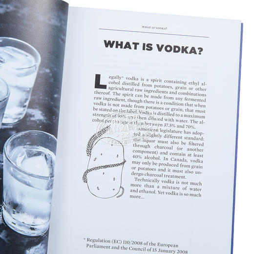 【中商原版】伏特加 完整指南 Vodka The Complete Guide 英文原版 Frederic Du Bois 伏特加起源 品酒图鉴 商品图2