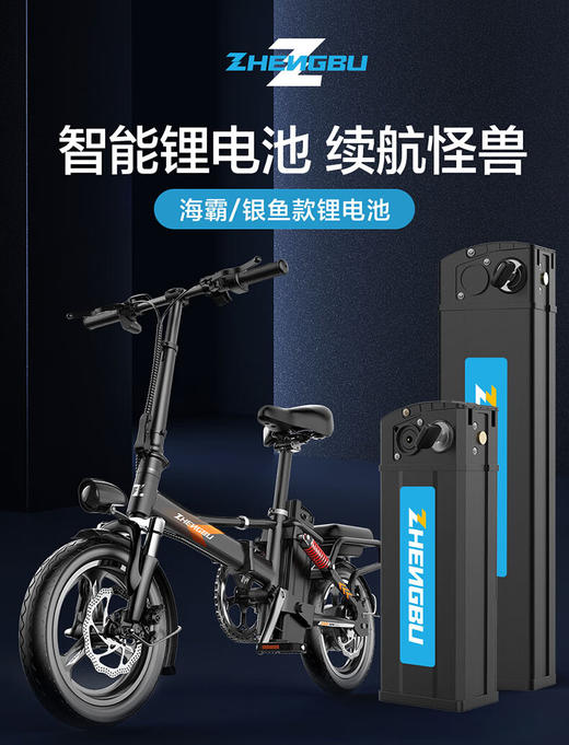 正步044（075）系列银鱼电池长110*宽75mm 容量越大高度越高 商品图1