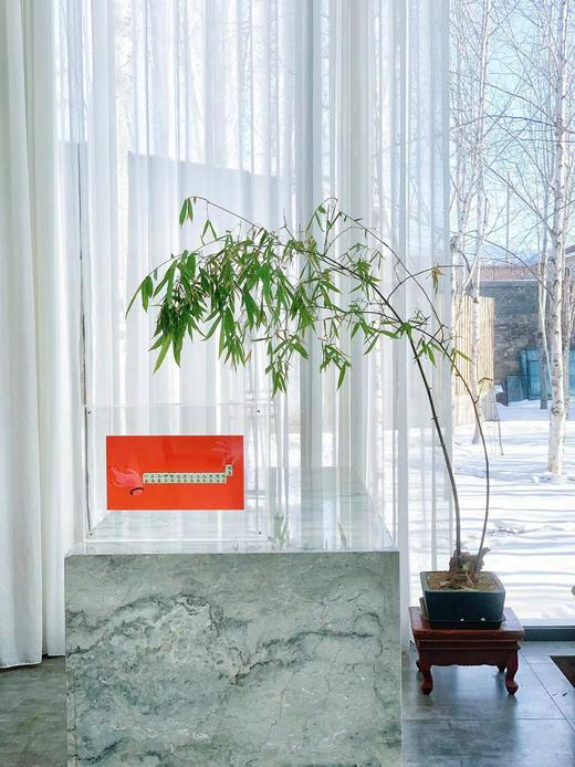 行运一条龙 商品图1