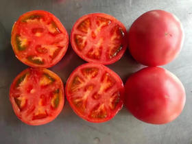 周五配送！【瓦大1号鲜食番茄】
番茄中的国货之光！绿色食品认证，国家农业化重点龙头企业！产地溯源，小时候吃的番茄味又回来了，沙瓤多汁，酸酸甜甜！目前在全国七个省市有自建基地，总面积上万亩！5斤/箱