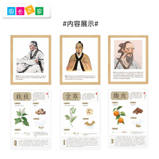 中国古代名医和中草药文化墙贴 商品图2