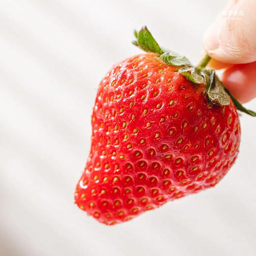 【地标好物】辽宁丹东99红颜草莓  个大、色红、味甜 2斤装 商品图4