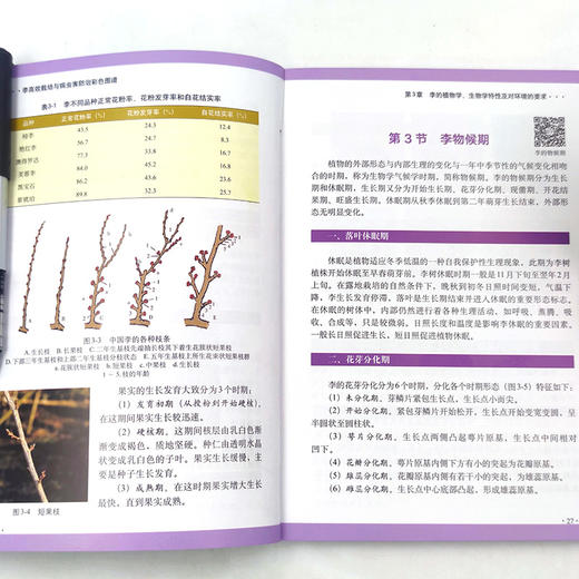 李高效栽培与病虫害防治彩色图谱 商品图3