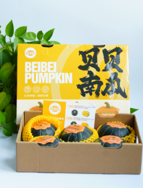 贝贝南瓜板栗小南瓜5斤/盒 正宗新鲜老南瓜 粉糯香甜 宝宝辅食蔬菜