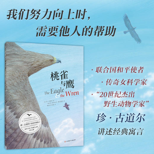 《桃雀与鹰》 商品图0