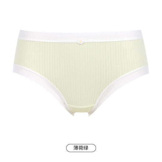 都市丽人健康木代尔系列纤柔绵内裤女锦提花女士内裤低腰平角内裤LK45E4 商品图6