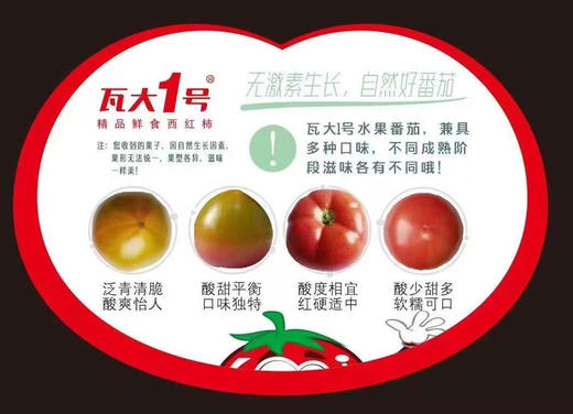 周五配送！【瓦大1号鲜食番茄】
番茄中的国货之光！绿色食品认证，国家农业化重点龙头企业！产地溯源，小时候吃的番茄味又回来了，沙瓤多汁，酸酸甜甜！目前在全国七个省市有自建基地，总面积上万亩！5斤/箱 商品图3