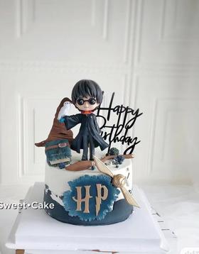 【臻品系列】---哈利波特魔法学院之【哈利·波特】