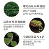 澜沧古茶2021年茶妈妈高山贡眉老白茶白牡丹云南茶叶200g礼盒装 商品缩略图2