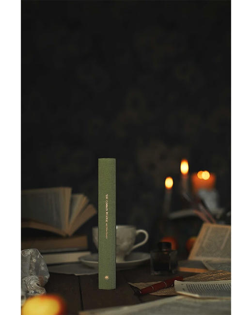 普通读者 伍尔夫 著 商品图3