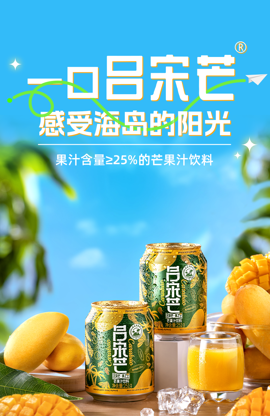 롿ɽýѩ â â֭ 251g*10/