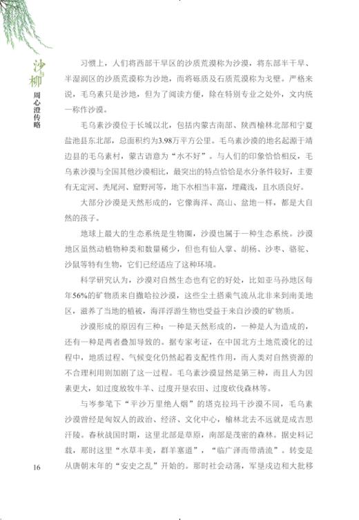 沙与柳周心澄传略 商品图5