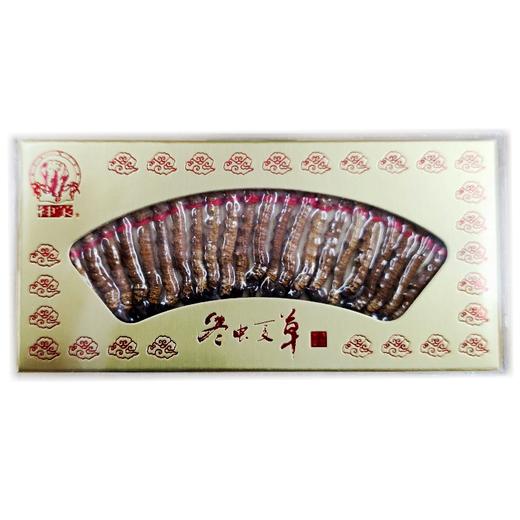 神象 冬虫夏草 5克平铺J45 商品图2