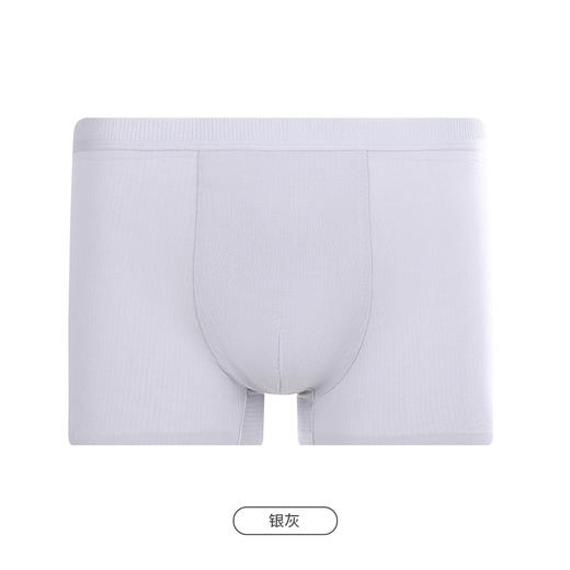 都市丽人都市锋尚简约基础内裤男50S莫代尔男士内裤平角内裤FK4CA9 商品图12