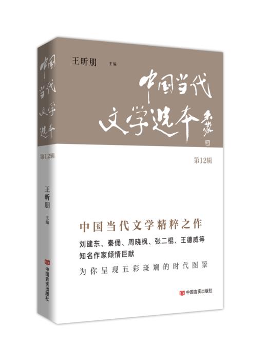 中国当代文学选本（第12辑） 商品图0