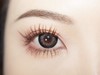 SUGARPLUM 脆煎饼 日抛 十片 14.5mm 参考着色13.9mm 基弧8.5 含水40% 韩国进口 商品缩略图2