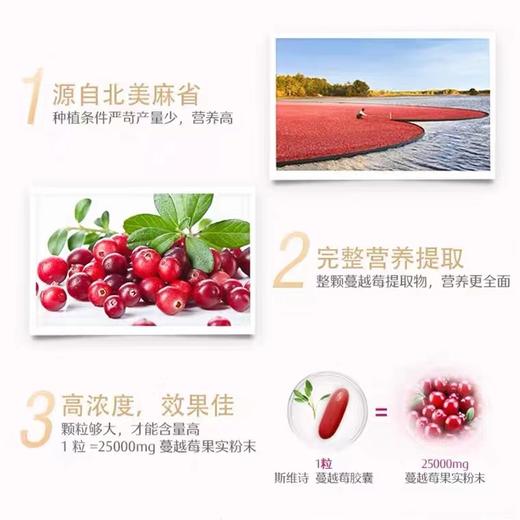 Swisse斯维诗小蔓越莓 30粒 呵护女性私处健康 维持尿道健康 商品图3