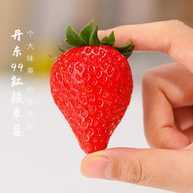 【地标好物】辽宁丹东99红颜草莓  个大、色红、味甜 2斤装