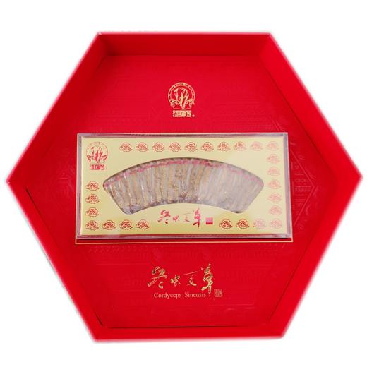 神象 冬虫夏草 5克平铺J45 商品图0