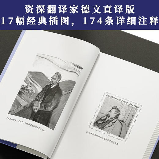 与魔搏斗的人 斯蒂芬·茨威格 著 传记 商品图3