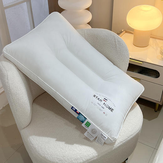 【79元/2个】60s新疆长绒棉五星级酒店立体枕 商品图6