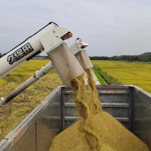 【潮汕帮扶】立坤农业丨稻花香米 5kg 【仅发广东省】 商品图2