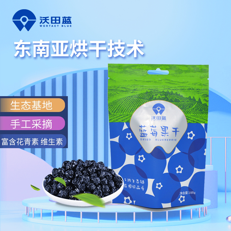 沃田蓝莓果干100g