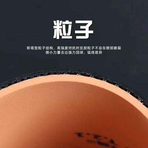 新款友谊729乒乓球胶皮奔腾3省队乒乓球拍胶皮奔腾3 III 反胶套胶 商品图5