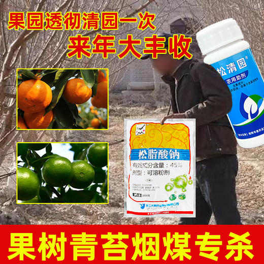 果树青苔烟煤专杀大鹏松脂酸松清园柑橘杨梅介壳蚧壳虫矢尖蚧粉蚧 商品图4