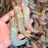 【野生沙鲈虾仁】纯野生沙鲈虾剥壳 ，零添加，食用方便，肉质Q弹，营养美味 商品缩略图1