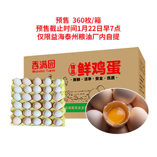 香满园鲜鸡蛋/红心/20kg（一箱12托，每托30枚），每箱360枚，0.6元/枚 商品图0