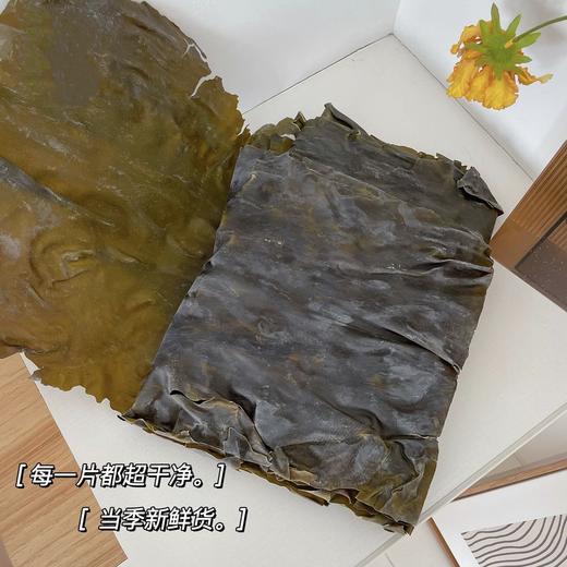 出口级深海大海带 商品图1