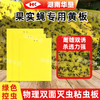 黄板果实蝇桔小实蝇诱粘板防水防晒抗老化双面粘虫大棚专用诱虫板 商品缩略图3