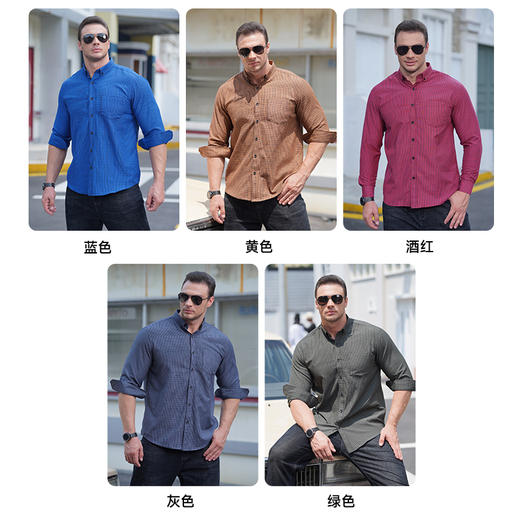 【新款DM】大依优型大码格子长袖衬衫加肥加大男装免烫大号纯色大码衬衣上衣男士绅士商务休闲 商品图2