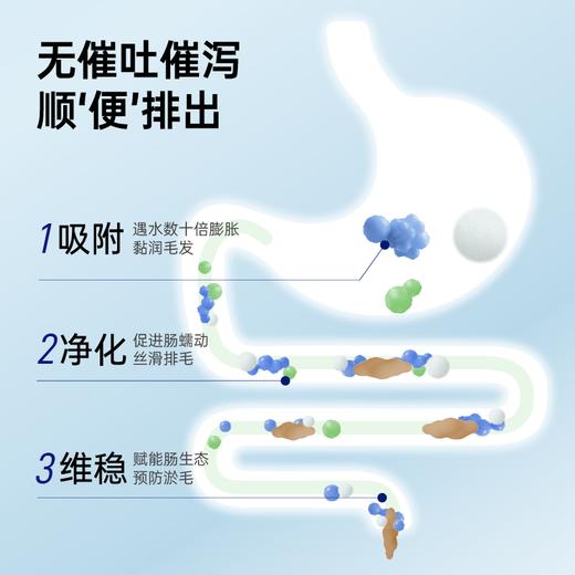 【壳币兑换】小轻松 猫咪功能主食罐尝鲜组合装 商品图4