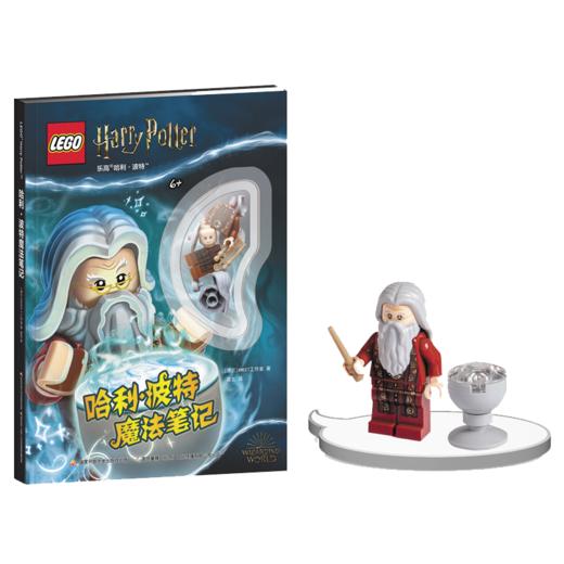 乐高哈利·波特：魔法笔记（附玩具） 商品图0
