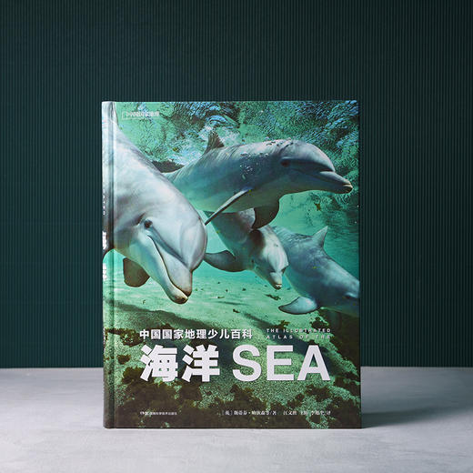 中国国家地理少儿百科·海洋：涵盖海洋演化、海洋动力知识、海岸形态地理知识，动植物等呈现立体海洋世界 科普图书 商品图1