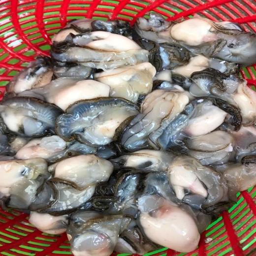 鲜水生约500g /袋 商品图1