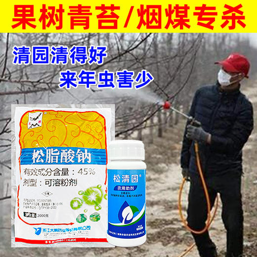 果树青苔烟煤专杀大鹏松脂酸松清园柑橘杨梅介壳蚧壳虫矢尖蚧粉蚧 商品图0