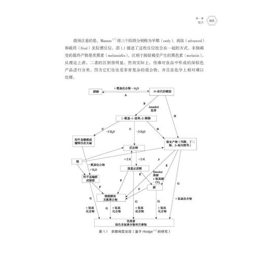 美拉德反应 化学、生物化学原理及应用 商品图4