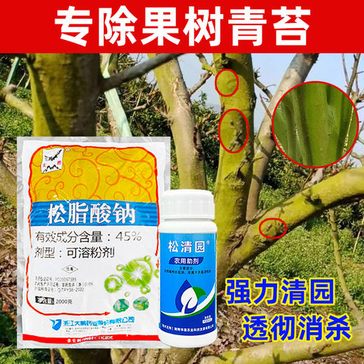 果树青苔烟煤专杀大鹏松脂酸松清园柑橘杨梅介壳蚧壳虫矢尖蚧粉蚧 商品图2