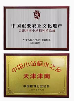 津农精品 日思 小站香稻5kg 商品图2