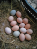 【助农】雨露河谷土鸡蛋30枚 商品缩略图2