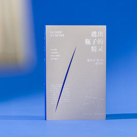 《逃出瓶子的精灵》现代人如何变得自觉但不安的模样？ 读库 哲学 商品图0