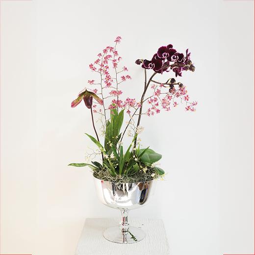 春日嗅觉系列 Spring Awareness 商品图2